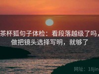 茶杯狐句子体检：看段落越级了吗，做把镜头选择写明，就够了