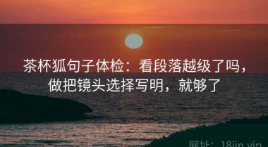 茶杯狐句子体检：看段落越级了吗，做把镜头选择写明，就够了