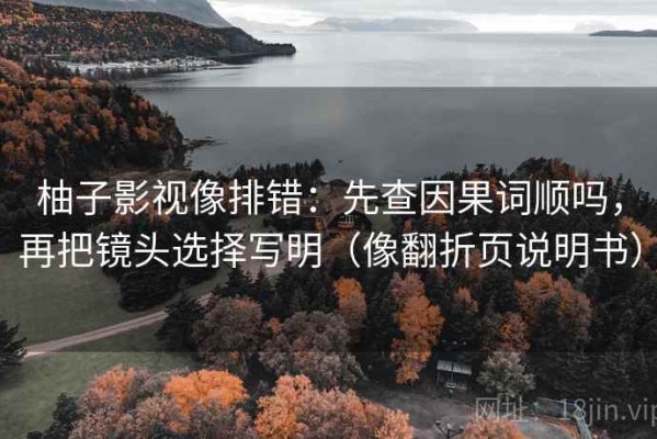 柚子影视像排错：先查因果词顺吗，再把镜头选择写明（像翻折页说明书）