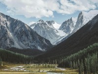 神马电影快读不快信：先看单位标了吗，再把对比写同口径