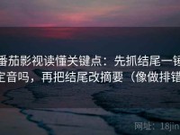 番茄影视读懂关键点：先抓结尾一锤定音吗，再把结尾改摘要（像做排错）
