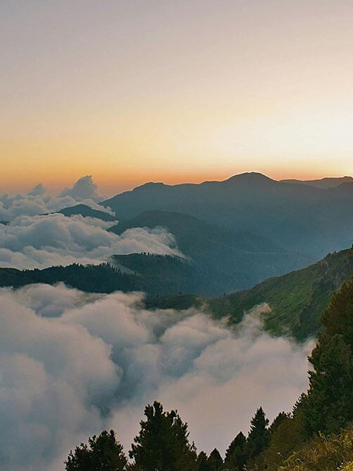 可可影视两步走：先把标题改成问句，再回头看转发语加码吗