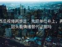 西瓜视频两步走：先把单位补上，再回头看情绪替代证据吗