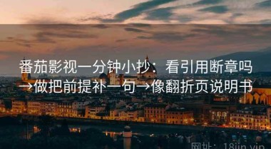 番茄影视一分钟小抄：看引用断章吗→做把前提补一句→像翻折页说明书