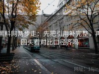 黑料网两步走：先把引用补完整，再回头看对比口径齐吗