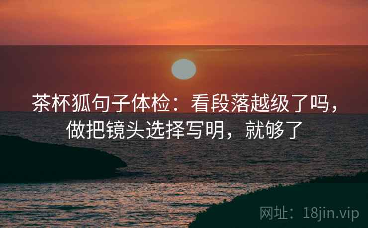 茶杯狐句子体检：看段落越级了吗，做把镜头选择写明，就够了