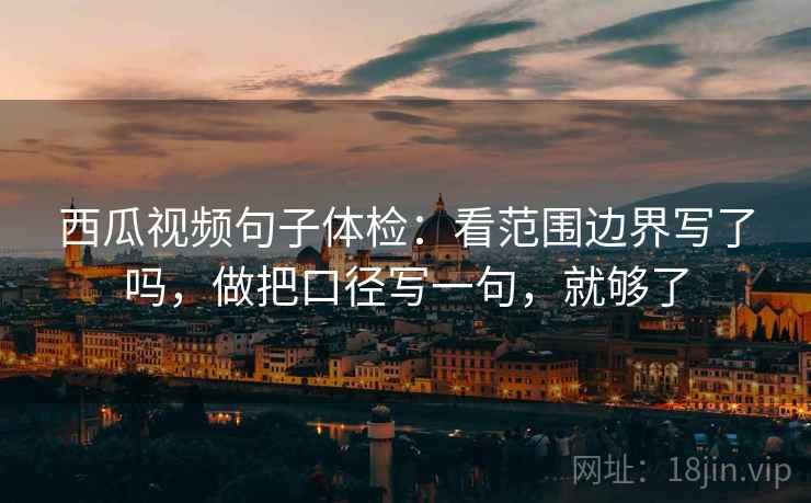 西瓜视频句子体检：看范围边界写了吗，做把口径写一句，就够了